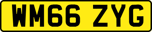 WM66ZYG