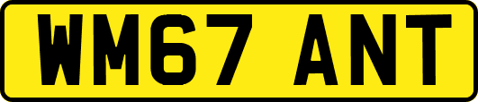 WM67ANT