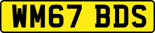 WM67BDS