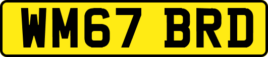 WM67BRD
