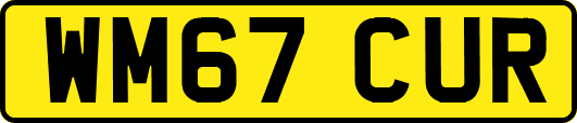 WM67CUR
