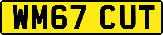 WM67CUT