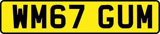 WM67GUM