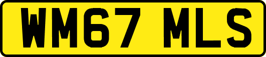 WM67MLS