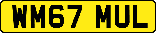 WM67MUL