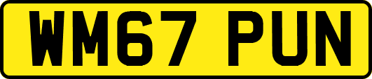 WM67PUN