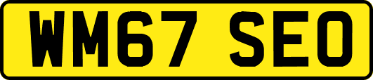 WM67SEO