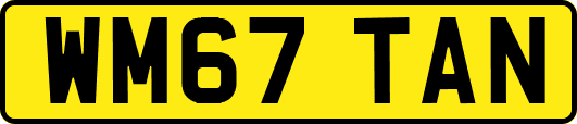 WM67TAN