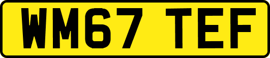WM67TEF