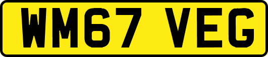 WM67VEG