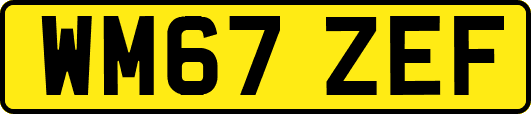 WM67ZEF