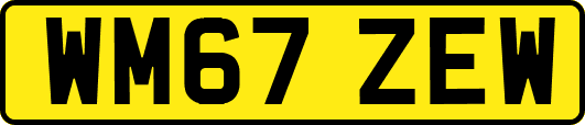 WM67ZEW