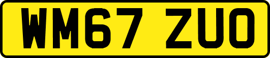 WM67ZUO