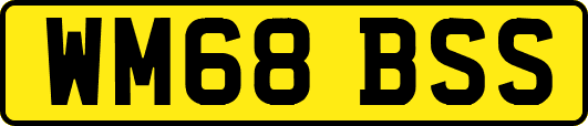 WM68BSS