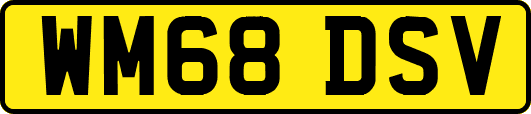 WM68DSV