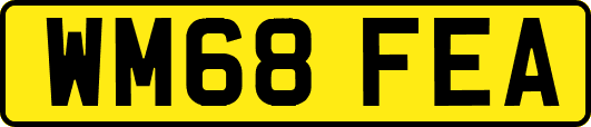 WM68FEA