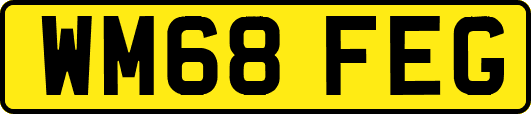 WM68FEG