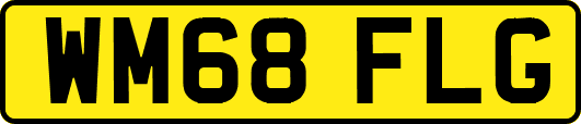 WM68FLG