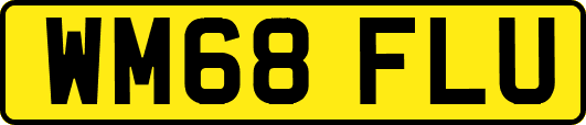 WM68FLU