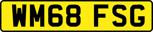 WM68FSG
