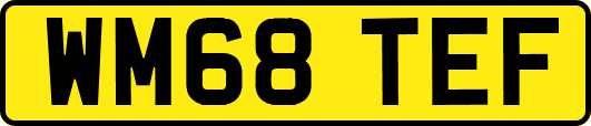 WM68TEF