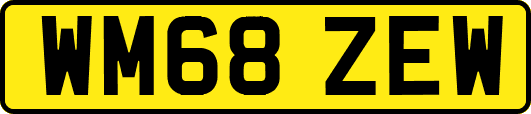 WM68ZEW