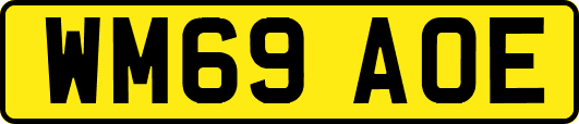 WM69AOE