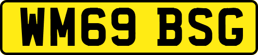 WM69BSG