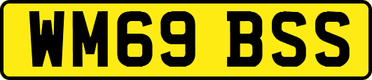 WM69BSS
