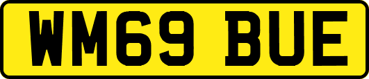 WM69BUE