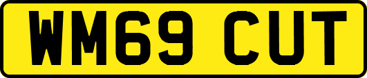 WM69CUT
