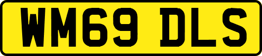 WM69DLS