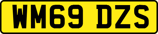 WM69DZS