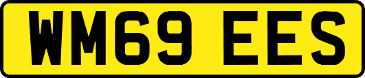 WM69EES
