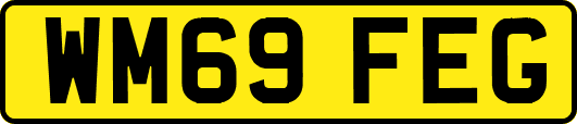 WM69FEG