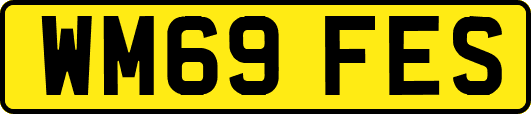 WM69FES