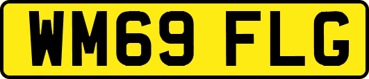 WM69FLG