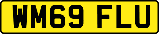 WM69FLU