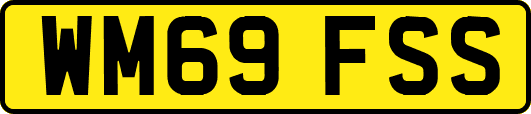 WM69FSS