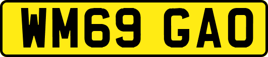 WM69GAO