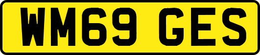 WM69GES