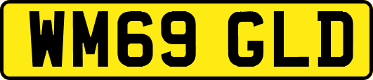 WM69GLD