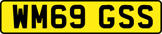 WM69GSS