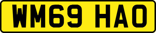 WM69HAO