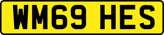 WM69HES