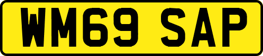 WM69SAP