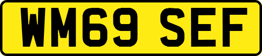 WM69SEF