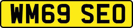 WM69SEO
