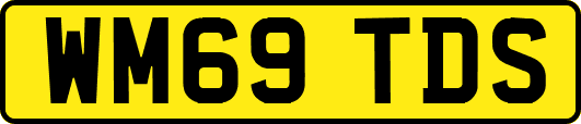 WM69TDS