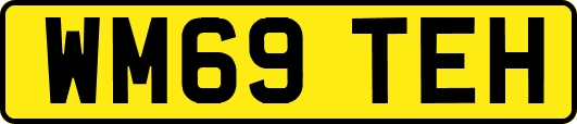 WM69TEH